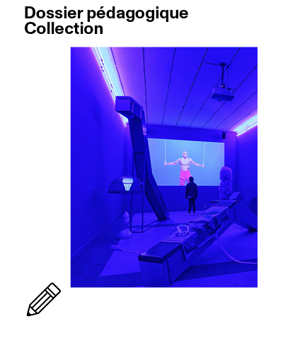 Vignette dossier pédagogique expos collection, Adel Abdessemed