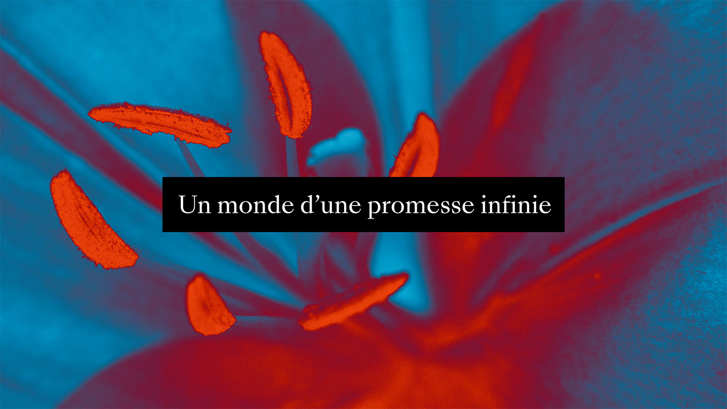 Biennale de Lyon, Un monde d'une promesse infinie