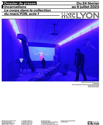 Ressource DP Incarnations, le corps dans la collection du macLYON