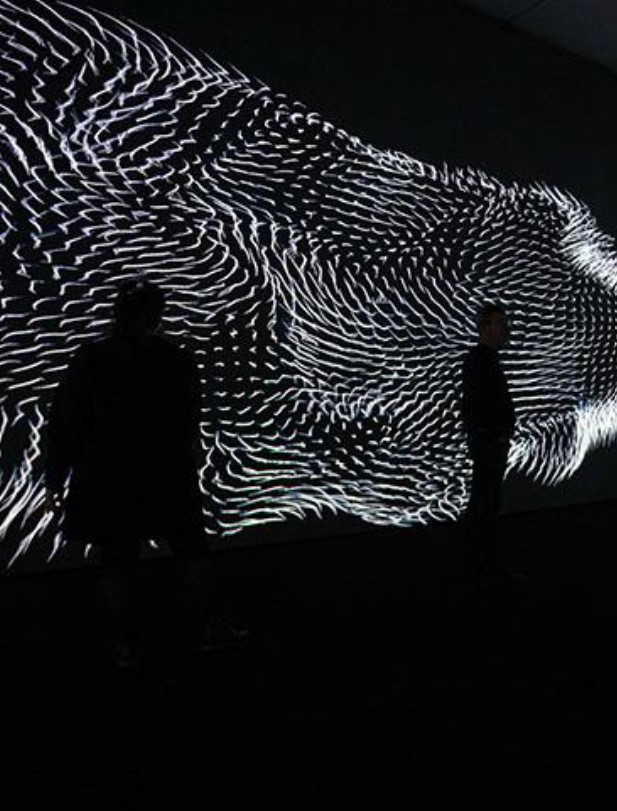 Visuels des expositions