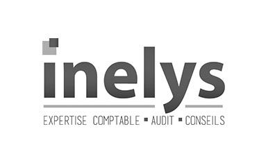 logo Inelys