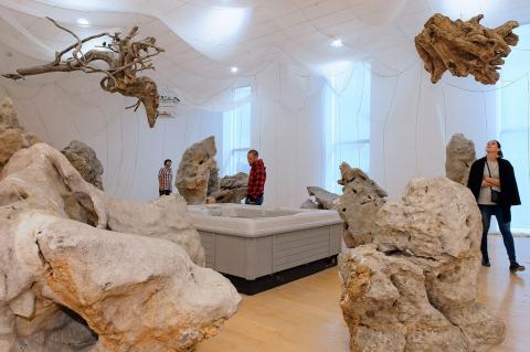Artwork of the collection Cai Guo Qiang