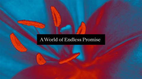 Biennale de Lyon, A worlds of endless promise