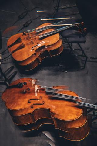 Violons