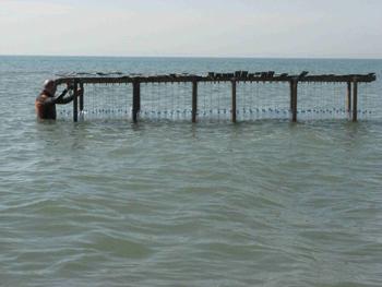 La mer